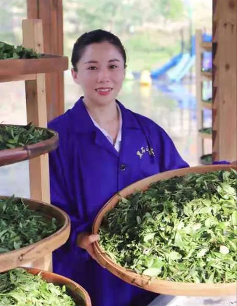 【梧州工匠】石濡菲：擇一茶，修一技，終一生
