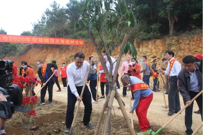 植樹(shù)造林，這群楷模這樣做