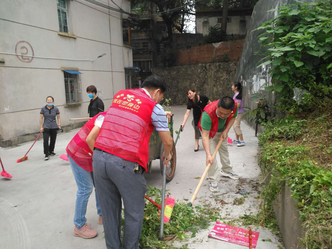 龍圩區(qū)總工會(huì)開(kāi)展無(wú)物業(yè)管理小區(qū)環(huán)境衛(wèi)生綜治活動(dòng)