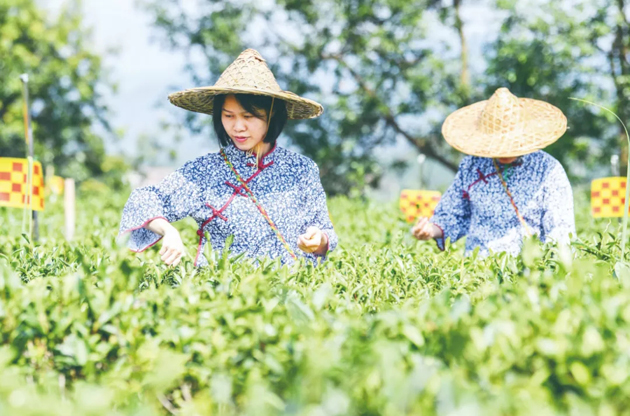 國家批復同意，梧州籌建！