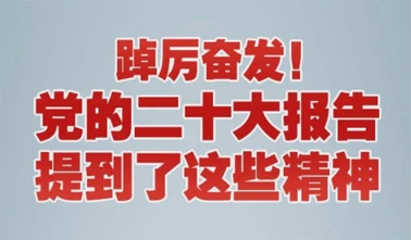 【黨的二十大】踔厲奮發(fā)！黨的二十大報(bào)告提到了這些精神