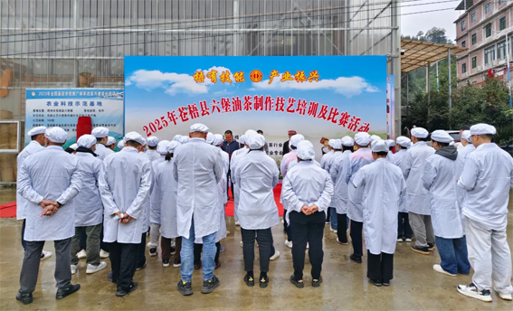 2025年蒼梧縣六堡油茶制作技藝培訓及比賽活動圓滿落幕！